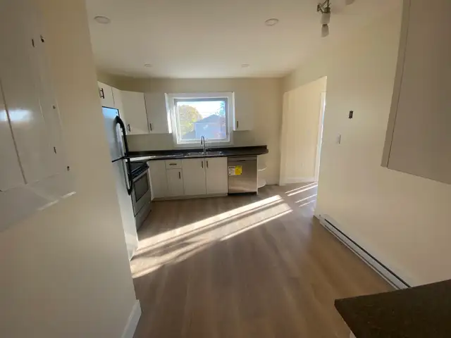 M&S Renovation - Photo 5