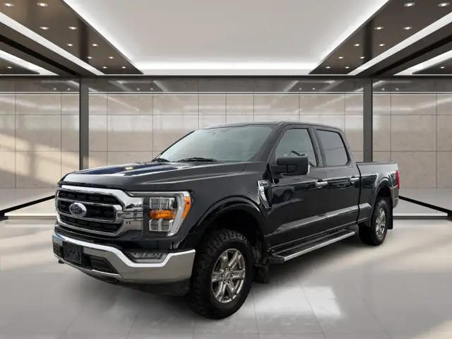 2023 Ford F-150 XLT 4WD SuperCrew 5.5' Box