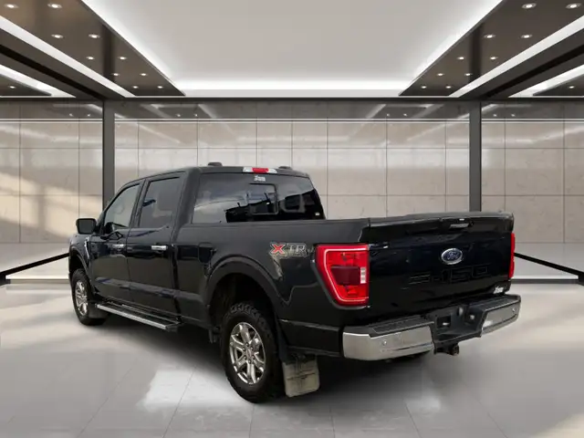 2023 Ford F-150 XLT 4WD SuperCrew 5.5' Box - Photo 3