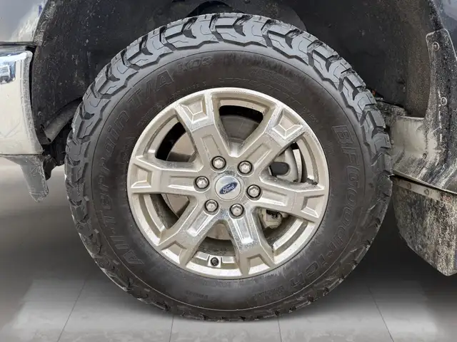 2023 Ford F-150 XLT 4WD SuperCrew 5.5' Box - Photo 6