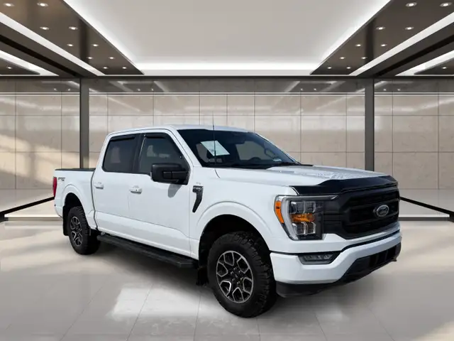 2023 Ford F-150 XLT 4WD SuperCrew 5.5' Box - Photo 2