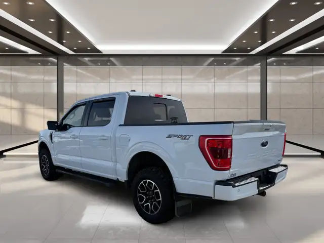 2023 Ford F-150 XLT 4WD SuperCrew 5.5' Box - Photo 4