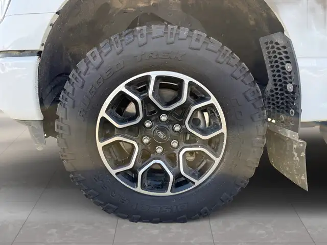 2023 Ford F-150 XLT 4WD SuperCrew 5.5' Box - Photo 6