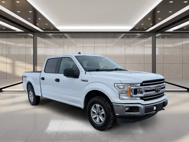 2019 Ford F-150 XLT 4WD SuperCrew 6.5' Box - Photo 2