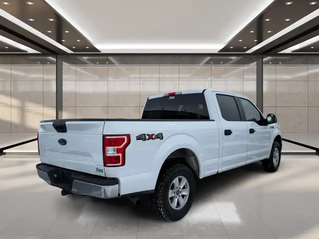 2019 Ford F-150 XLT 4WD SuperCrew 6.5' Box - Photo 3