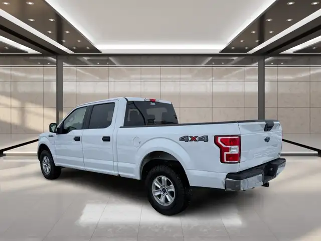 2019 Ford F-150 XLT 4WD SuperCrew 6.5' Box - Photo 4