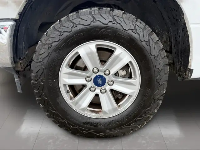 2019 Ford F-150 XLT 4WD SuperCrew 6.5' Box - Photo 7