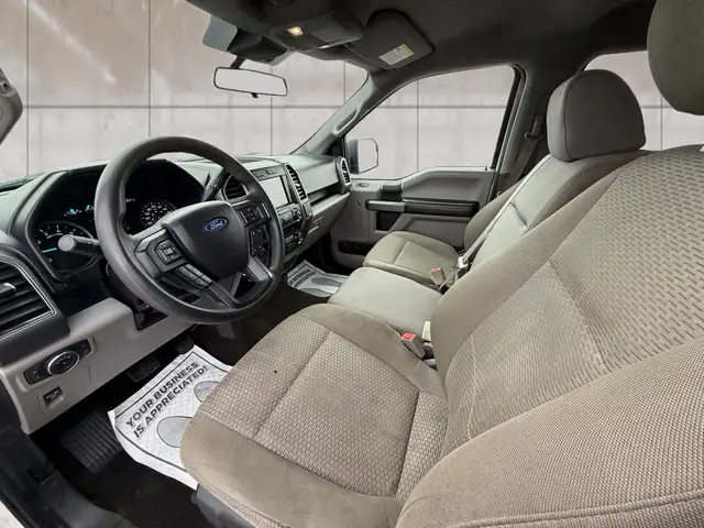 2019 Ford F-150 XLT 4WD SuperCrew 6.5' Box - Photo 8