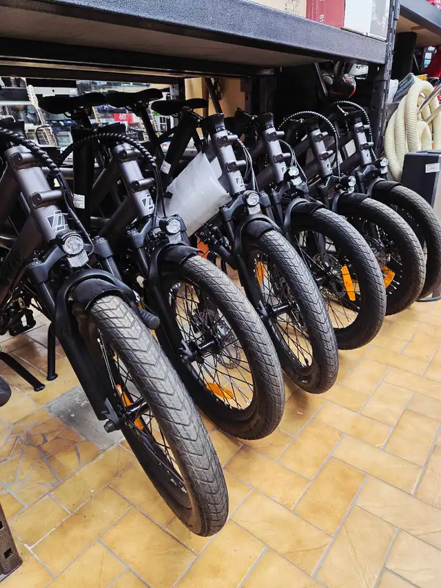 Vélo Électrique neuf cargo