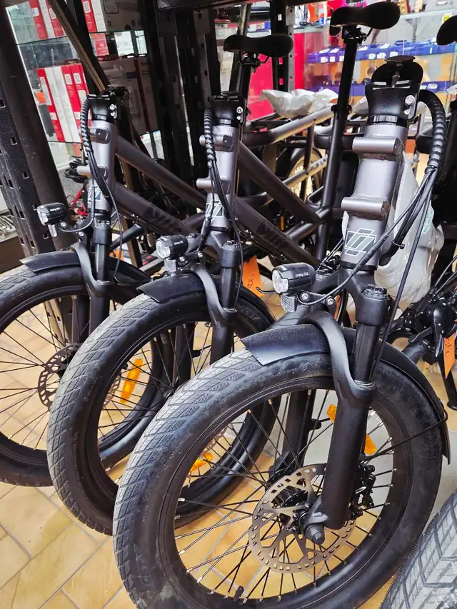 Vélo Électrique neuf cargo - Photo 2