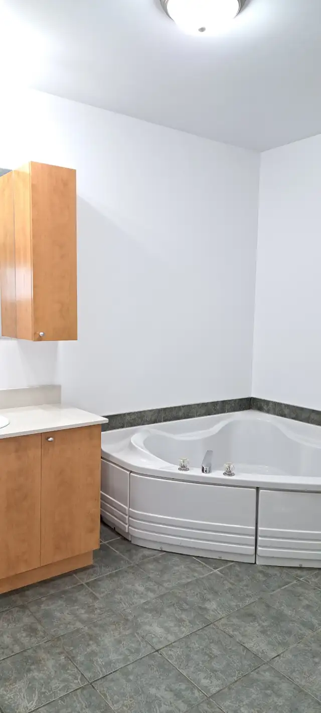 4 ½ et 3 ½ RENOVER, Saint-Eustache avec clientèle établi de 55 - Photo 8