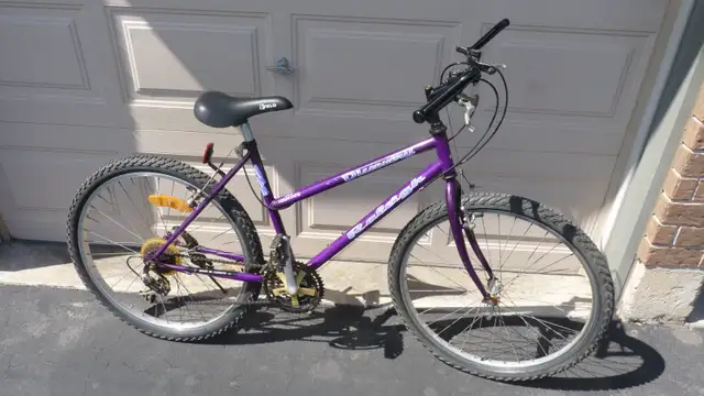 Raleigh Ladies Bicycle