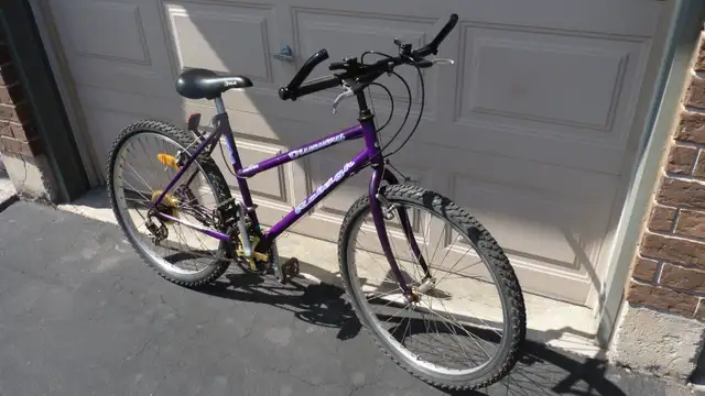 Raleigh Ladies Bicycle - Photo 2