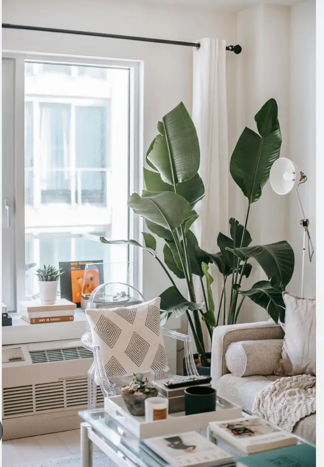 Premium Residential Cleaning | Nepean • Barrhaven • Manotick