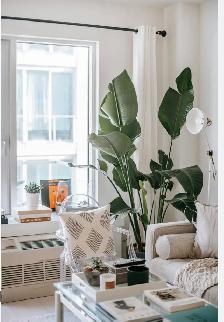 Premium Residential Cleaning | Nepean • Barrhaven • Manotick