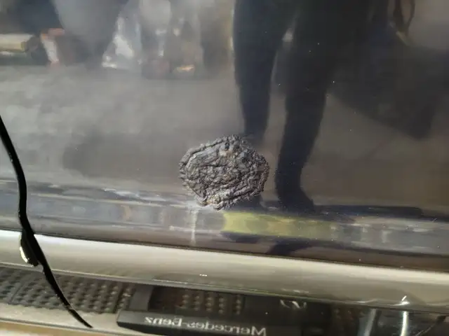 1999 Mercedes Benz ML 320 - Photo 10