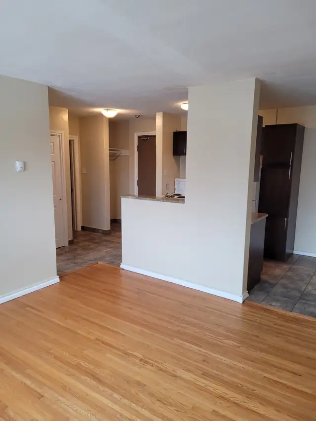 Bright , spacious 1 bdrm suite in Chalmers