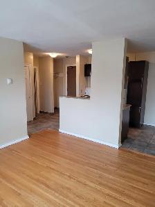 Bright , spacious 1 bdrm suite in Chalmers