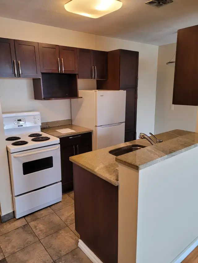 Bright , spacious 1 bdrm suite in Chalmers - Photo 2