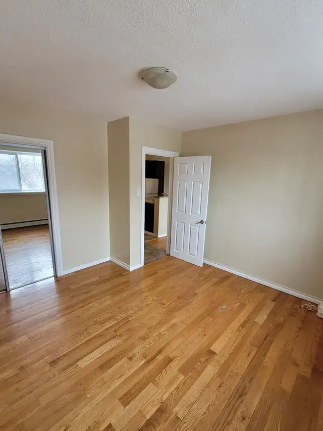 Bright , spacious 1 bdrm suite in Chalmers - Photo 5