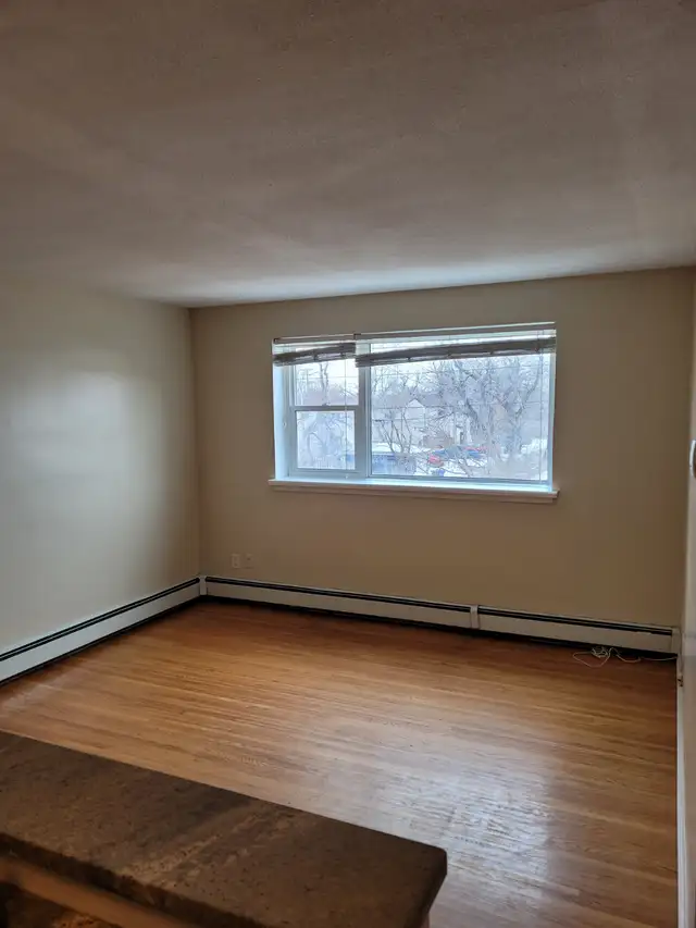 Bright , spacious 1 bdrm suite in Chalmers - Photo 7