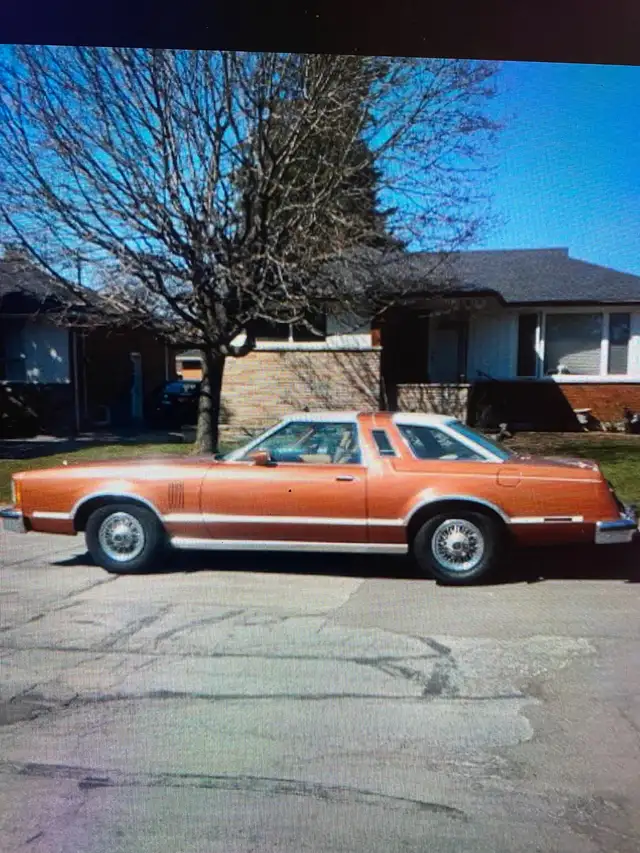 1979 Ford Thunderbird - Photo 2