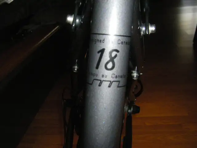 A vendre vélo électrique DCO Libert-é - Photo 4