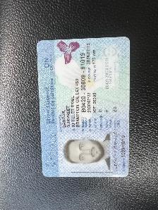 Need job immediately start ( AZ , forklift , delivery driver)