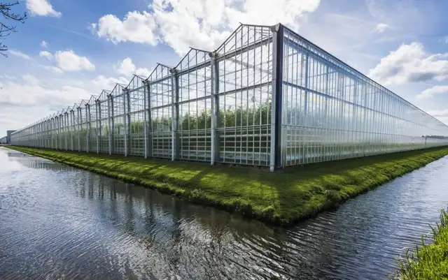 12x24m Steel Frame Greenhouse - Photo 2