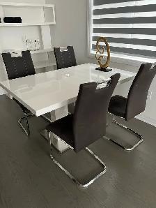 Extendable modern dining table and 8 chairs