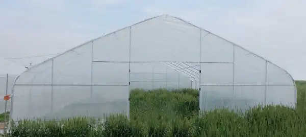 20x30x10 Greenhouse Tunnel - Photo 3