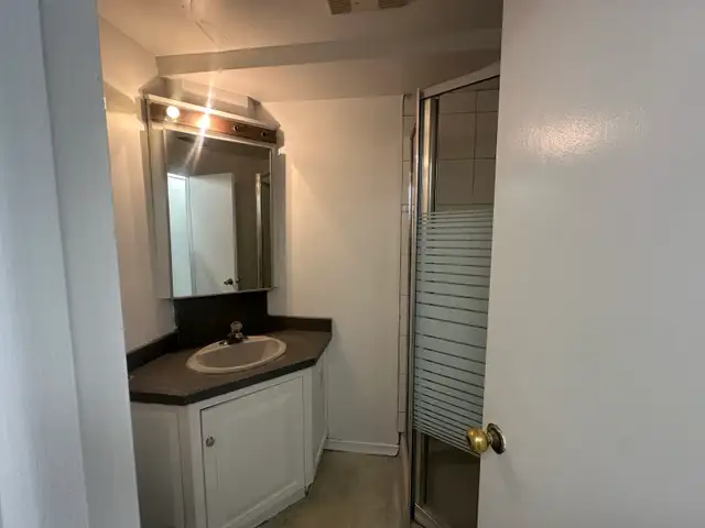 Basement for lease - Photo 4