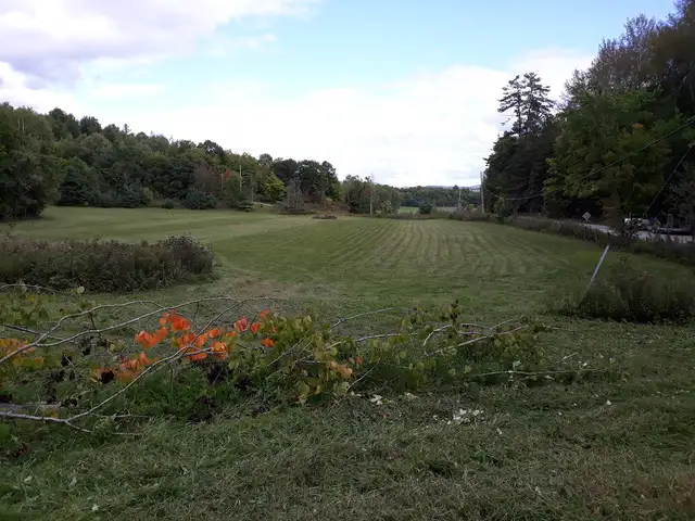 Vacant Land / Acreage For Sale: Terrain Agriculture a vendre - Photo 2