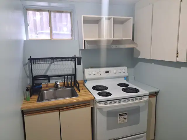 Basement unit for rent at DVP/401 with separate entrance - Photo 6