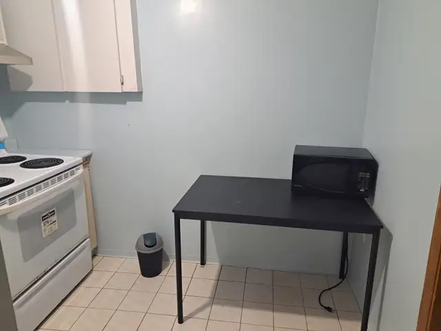 Basement unit for rent at DVP/401 with separate entrance - Photo 7