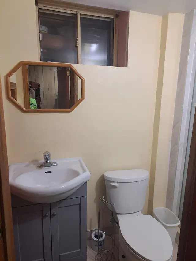 Basement unit for rent at DVP/401 with separate entrance - Photo 9