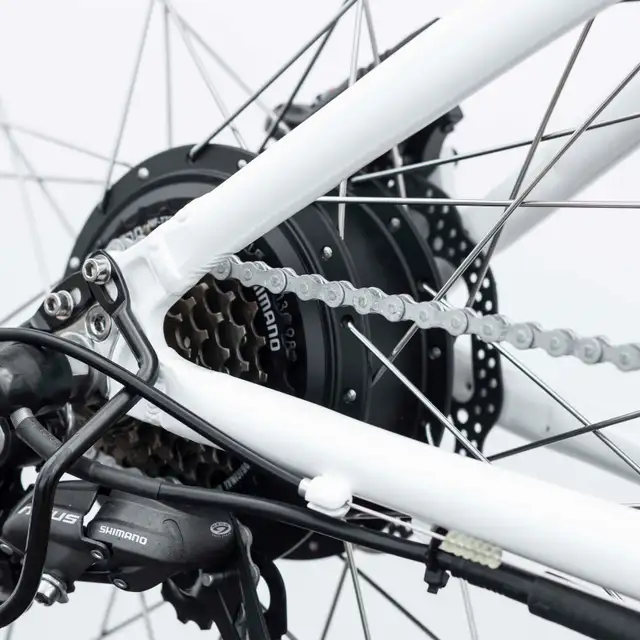 Vermont Long Range Ebike - On Sale Now! - Photo 4