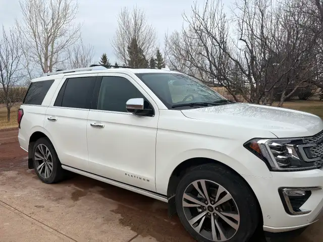 2021 Expedition Platinum - Photo 2