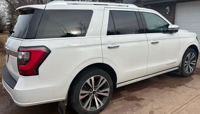 2021 Expedition Platinum - Photo 3
