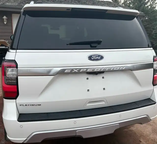 2021 Expedition Platinum - Photo 4