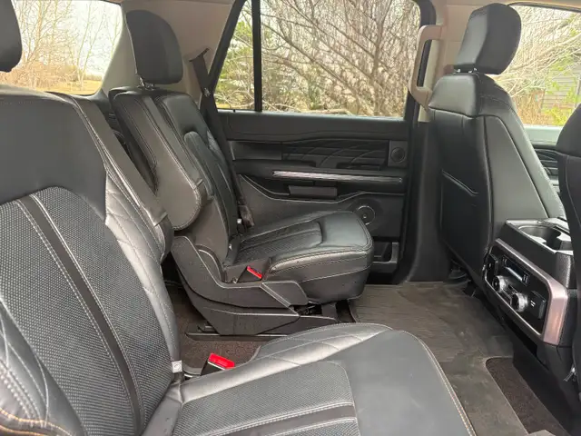 2021 Expedition Platinum - Photo 10