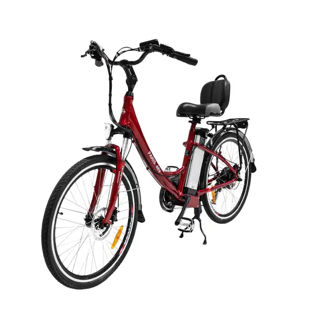 The Paris Long Range ebike - ON SALE