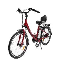 The Paris Long Range ebike - ON SALE