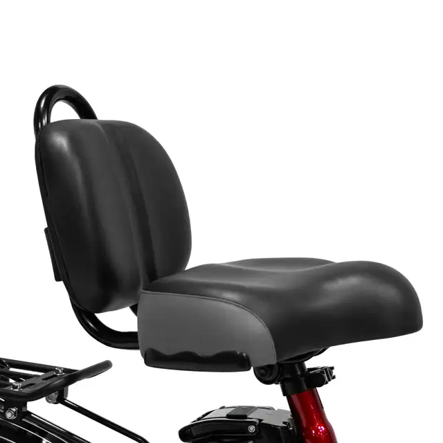 The Paris Long Range ebike - ON SALE - Photo 9