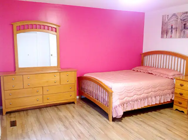 A/C furnished room for female student, close uofL, April 15th - Photo 12