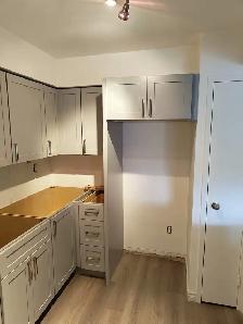 Thermofoil, MDF, Solid Wood – Cabinets on Promotion - Photo 4