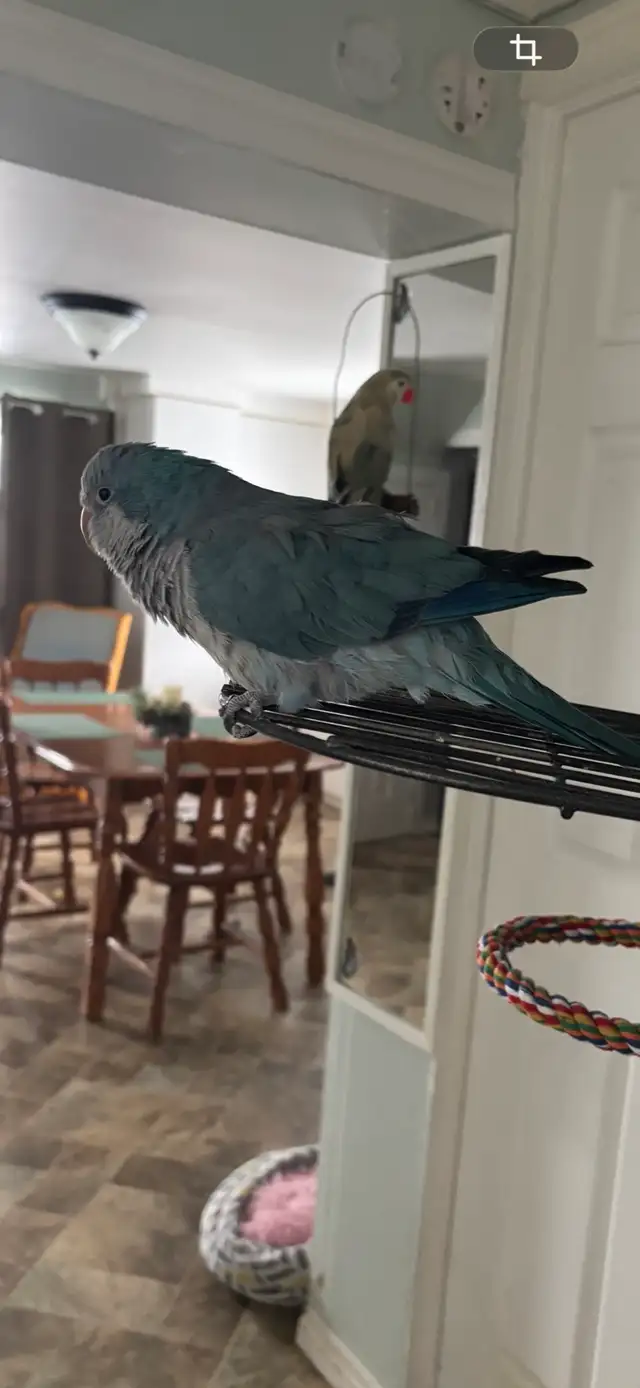 Kakers tout équipé