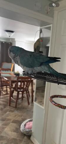 Kakers tout équipé