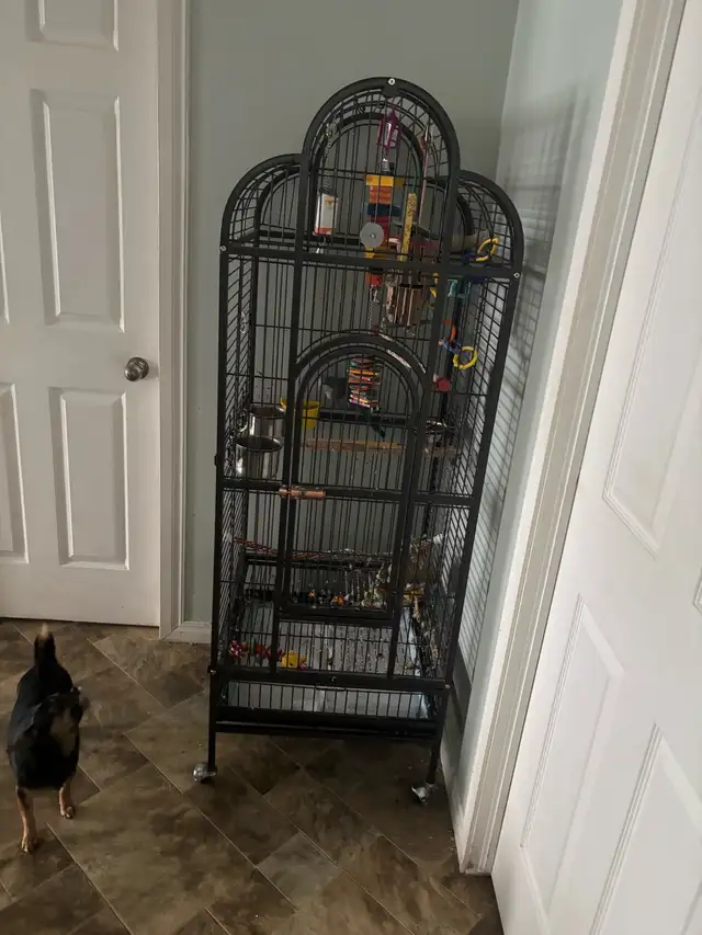 Kakers tout équipé - Photo 2