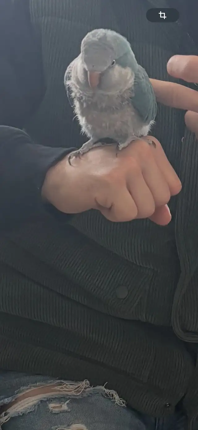 Kakers tout équipé - Photo 3